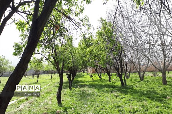 آغاز بهار طبیعت