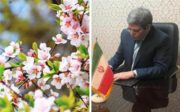 پیام جواد حسینی به مناسبت اعیاد شعبانیه و فرارسیدن سال جدید