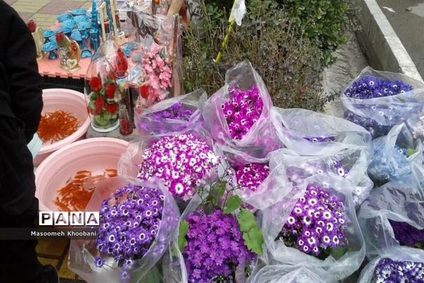 سال جدید و جوانه زدن شادی در دل مردم