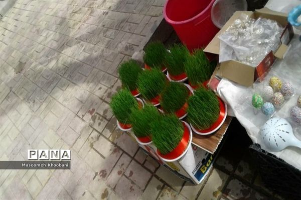 سال جدید و جوانه زدن شادی در دل مردم