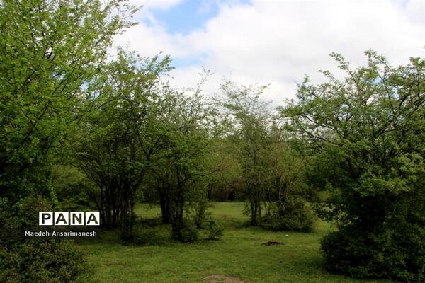 طبیعت بکر روستای کچا