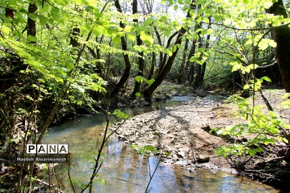 طبیعت بکر روستای کچا