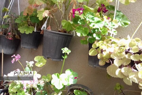 جلوه‌های طبیعت و پیدایش بهار در خاورشهر