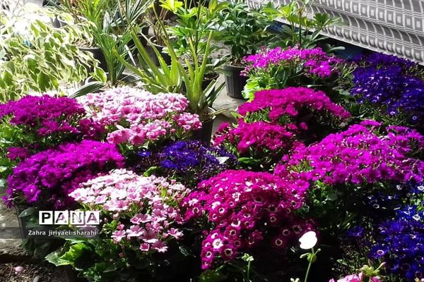 جلوه‌های طبیعت و پیدایش بهار در خاورشهر