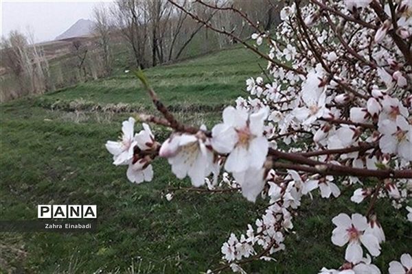 سفری به روستای عین آباد