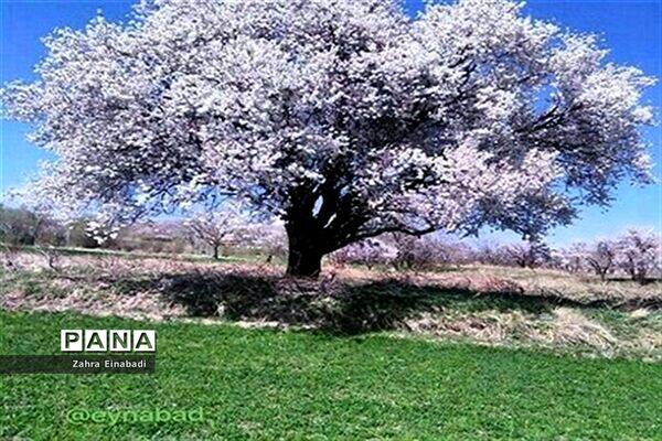 سفری به روستای عین آباد