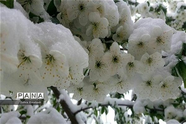 سفری به روستای عین آباد