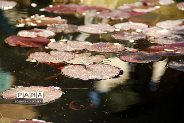 موزه مقدم بنای تاریخی به جا مانده از زمان قاجار