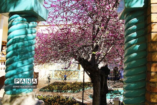 موزه مقدم بنای تاریخی به جا مانده از زمان قاجار