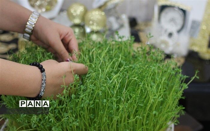 ممنوعیت های تردد در روز «سیزده بدر» اعلام شد