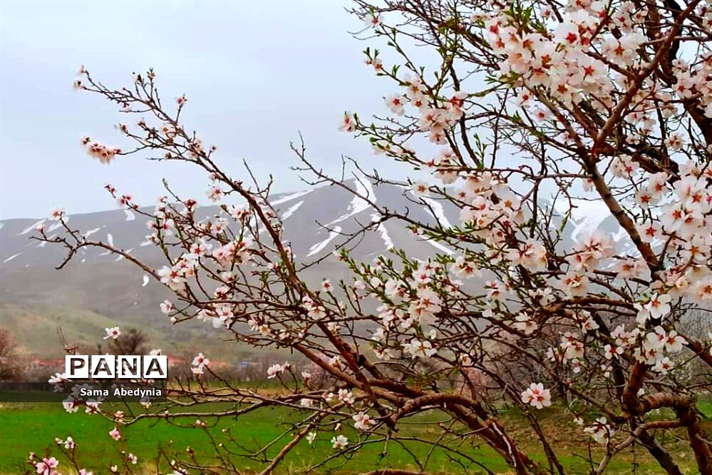 بهار طبیعت