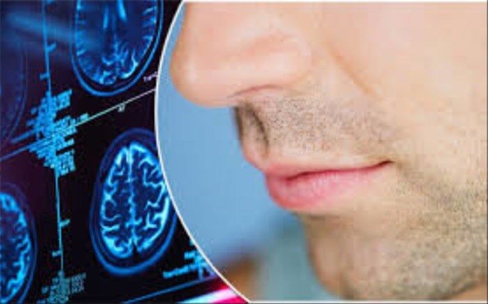 چگونه حس بویایی را بعد از بیماری‌های ویروسی برگردانیم؟