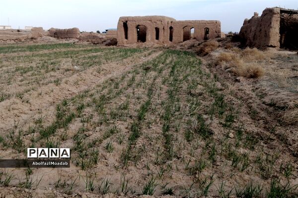 طبیعت  و بهاردر روستا های   شهرستان کاشمر