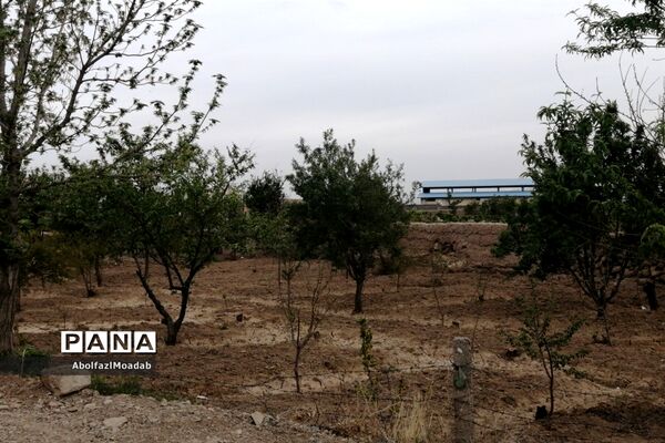 طبیعت  و بهاردر روستا های   شهرستان کاشمر