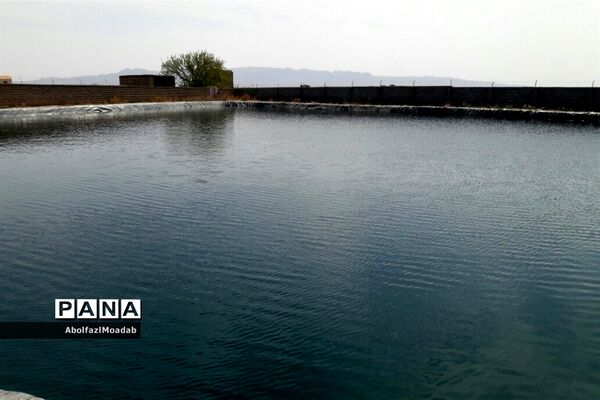 طبیعت  و بهاردر روستا های   شهرستان کاشمر