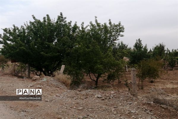 طبیعت  و بهاردر روستا های   شهرستان کاشمر