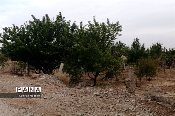 طبیعت  و بهاردر روستا های   شهرستان کاشمر