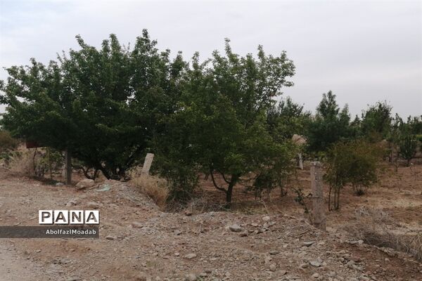 طبیعت  و بهاردر روستا های   شهرستان کاشمر