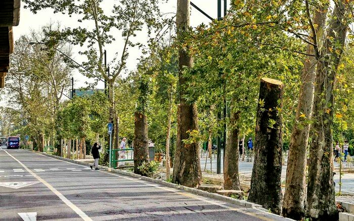 تشریح اقدامات اجرایی ثبت جهانی خیابان ولی عصر
