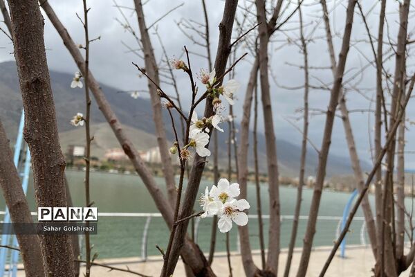 لرستان زیبا در نخستین روزهای بهار