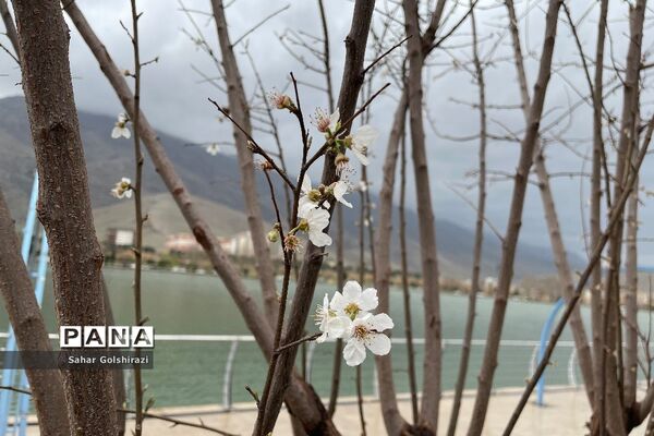 لرستان زیبا در نخستین روزهای بهار