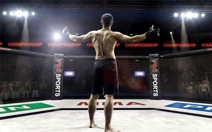 برای اولین بار در تاریخ؛ مجوز برگزاری مسابقات MMA در ایران صادر شد