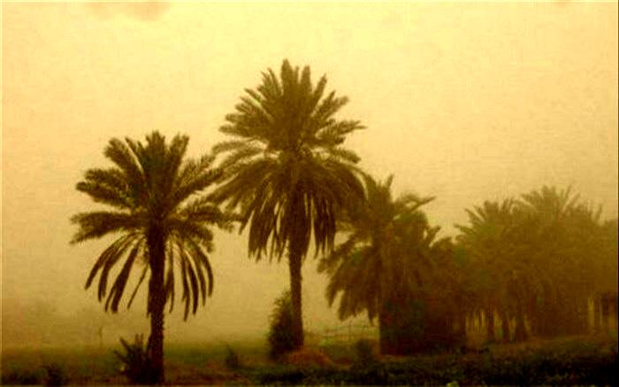 باد با سرعت ۸۳ کیلومتر بر ساعت زابل را درنوردید