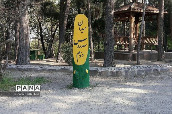 ورزشکاران رشته فوتبال و بسکتبال در پارک طالقانی