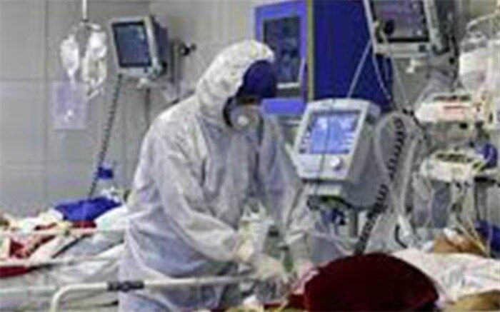20 درصد از کل مبتلایان از ابتدا تا کنون، در 2 هفته اخیر شناسایی شده است