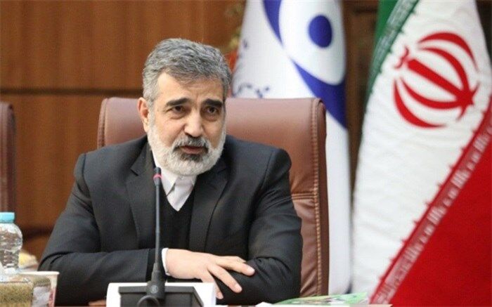 هدف‌گذاری تولید 40تن کیک زرد در سال 1400