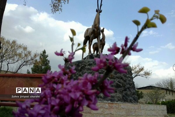 سفری به روستای کرشت