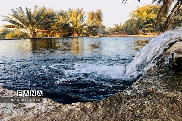 زیبایی فصل بهار در روستاهای بخش مرکزی چابهار