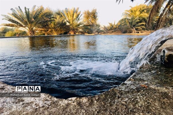 زیبایی فصل بهار در روستاهای بخش مرکزی چابهار