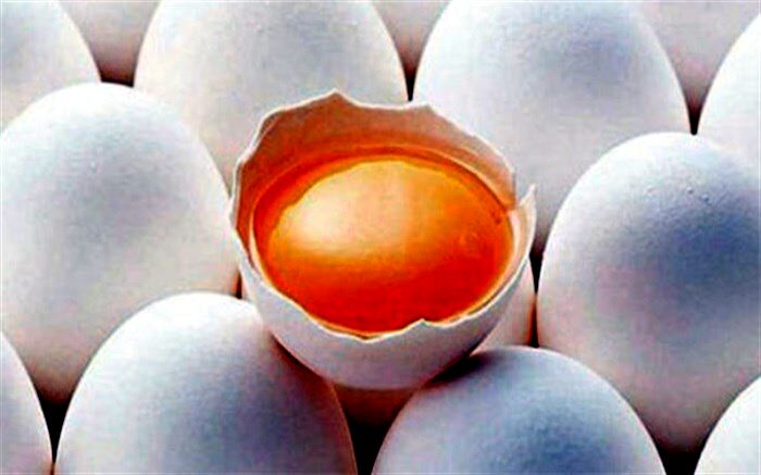 درباره زرده ‌تخم مرغ بیشتر بدانید