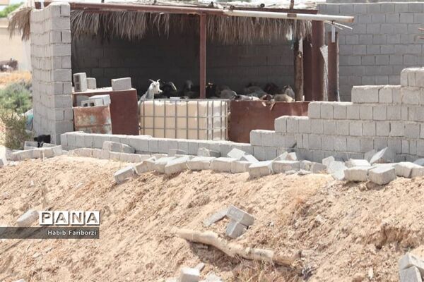 خسارات زلزله به شهرگناوه و روستاهای گماران، کمالی، فخرآوری بخش مرکزی شهرستان گناوه