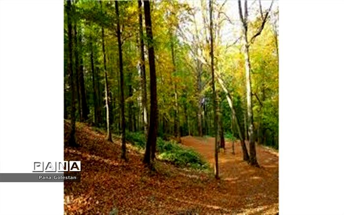 طرح حفاظت هوشمند از پارک ملی گلستان آماده بهره‌برداری است