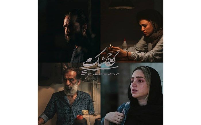 «گنجشک» به موسیقی و صدا رسید