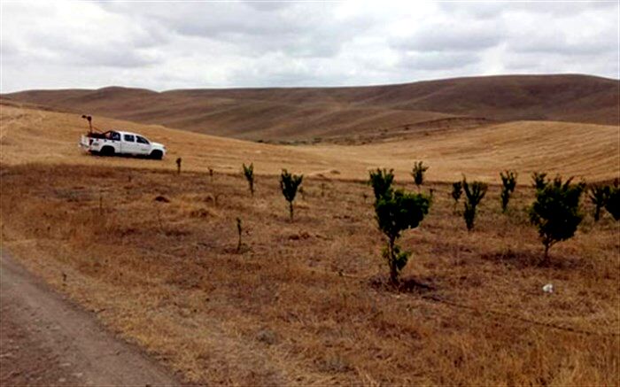 سمپاشی شش هزار هکتار از مراتع خداآفرین جهت کنترل ملخ