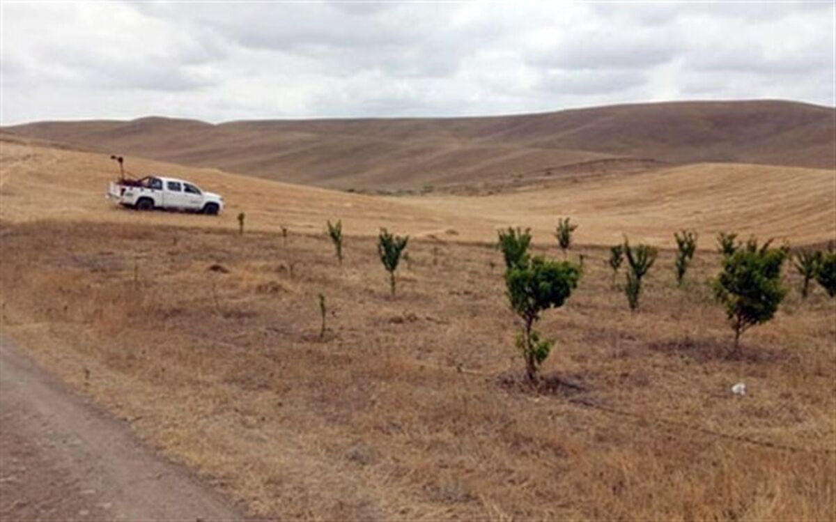 سمپاشی شش هزار هکتار از مراتع خداآفرین جهت کنترل ملخ