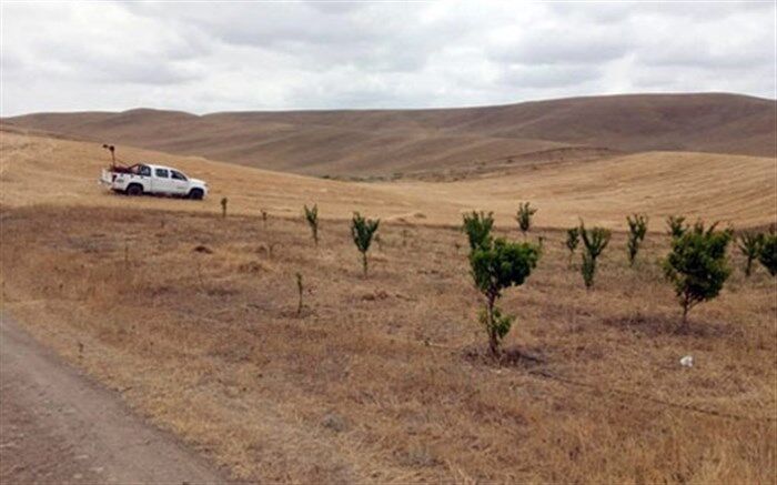 سمپاشی شش هزار هکتار از مراتع خداآفرین جهت کنترل ملخ