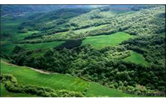 کاداستر ۴۰ میلیون هکتار اراضی ملی و دولتی تا پایان شهریورماه