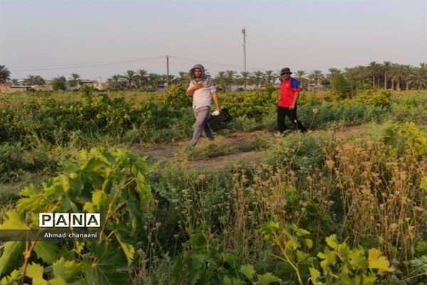 برداشت انگور در تاکستان‌های روستای بهر شهرستان کارون