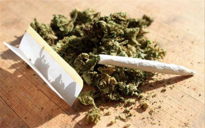 با این گل، بهار نمی‌شود!