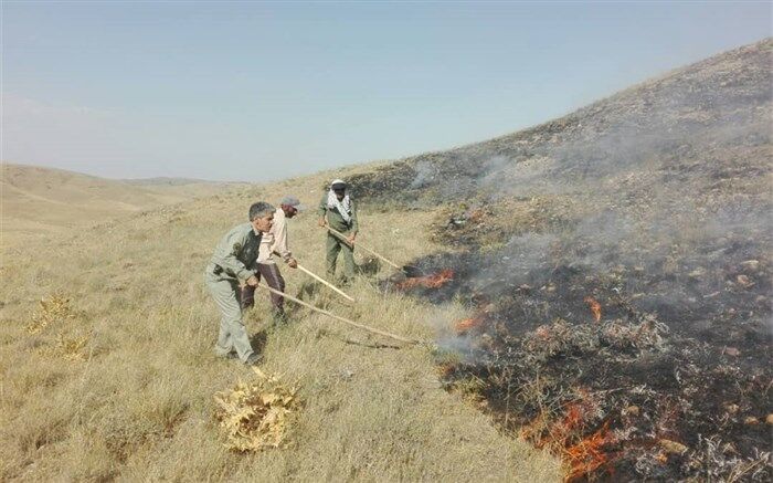 آتش به جان منطقه حفاظت شده باشگل تاکستان افتاد