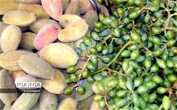محصولات امسال مانند سال‌های گذشته نیستند