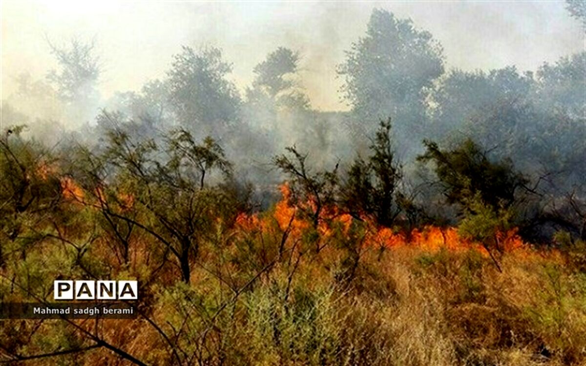 تلاش وزارت دفاع  برای مهار و کنترل آتش‌سوزی در کردستان و فارس
