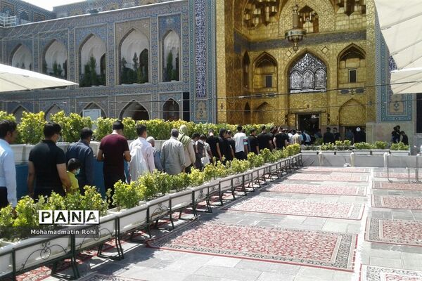 حال و هوای حرم مطهر رضوی در روز زیارتی  امام رضا علیه السلام