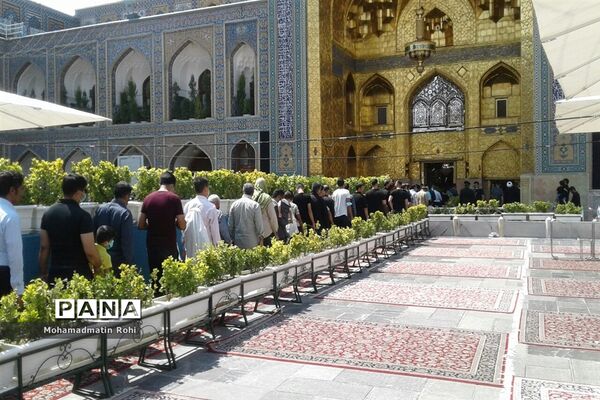 حال و هوای حرم مطهر رضوی در روز زیارتی  امام رضا علیه السلام