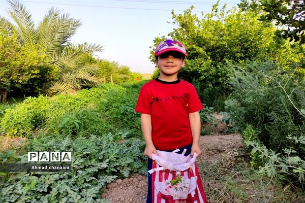 برداشت لیموترش در روستای موران از توابع شهرستان کارون