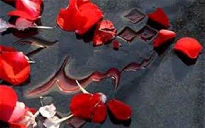 پسرم وصیت کرد پیکرش را به‌ کتابخانه‌اش ببریم